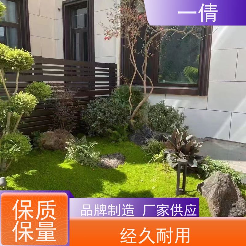 一倩花卉 办公室 7寸盆四季桔 绿植租赁 净化空气
