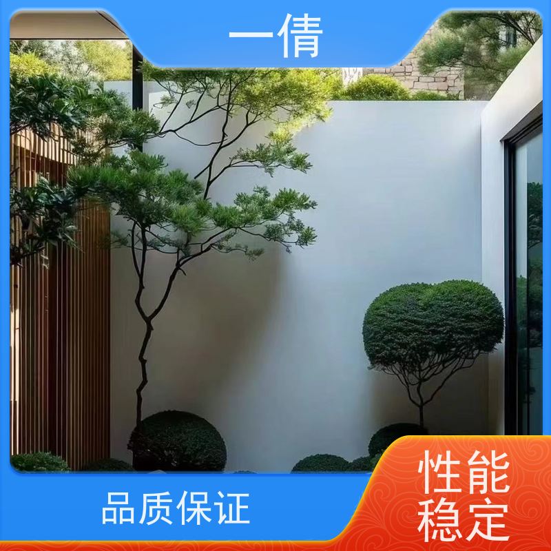 一倩花卉 室内 罗汉松 花卉租赁 种类繁多 规格齐全
