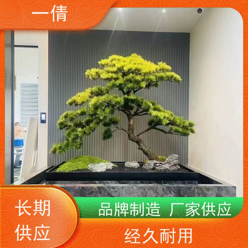 一倩花卉 前台 富贵竹 室内植物出租 种类繁多 规格齐全
