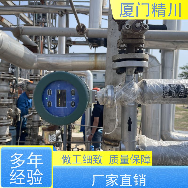 精川股份 大学实验室DN1质量流量计 支持定制 有保障