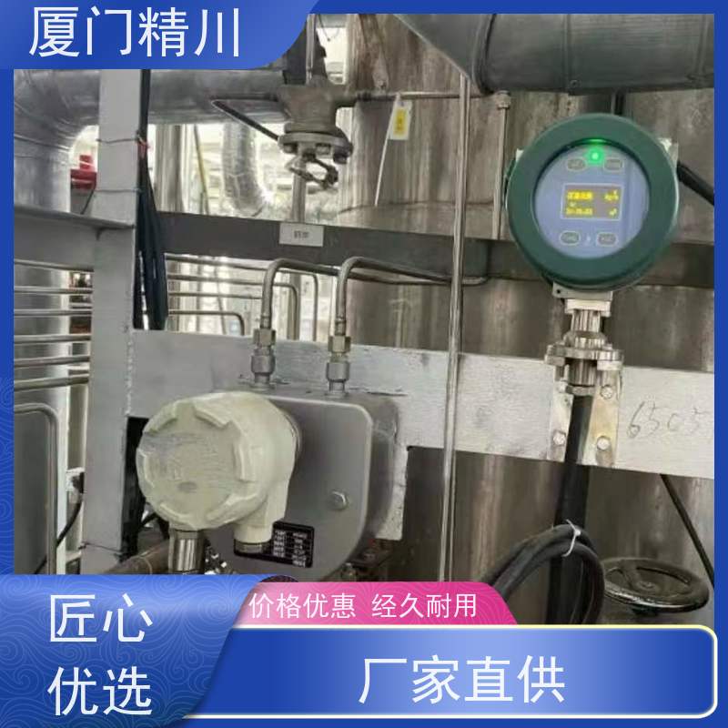 精川股份 半导体U型质量流量计 连接方式支持定制 省力