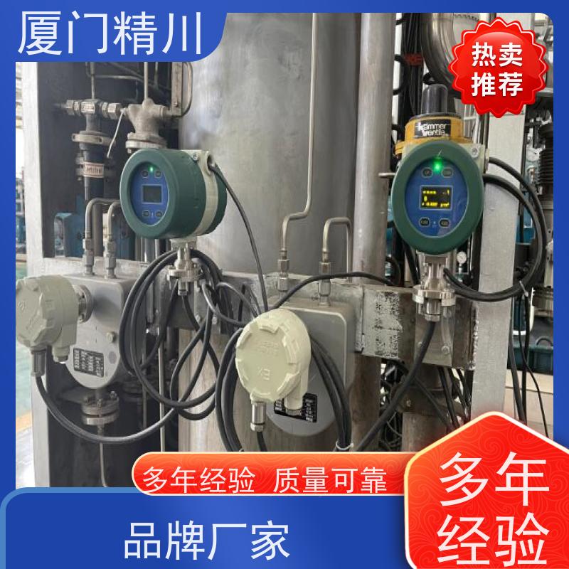 精川股份 半导体科氏力质量流量计 连接方式支持定制 更放心