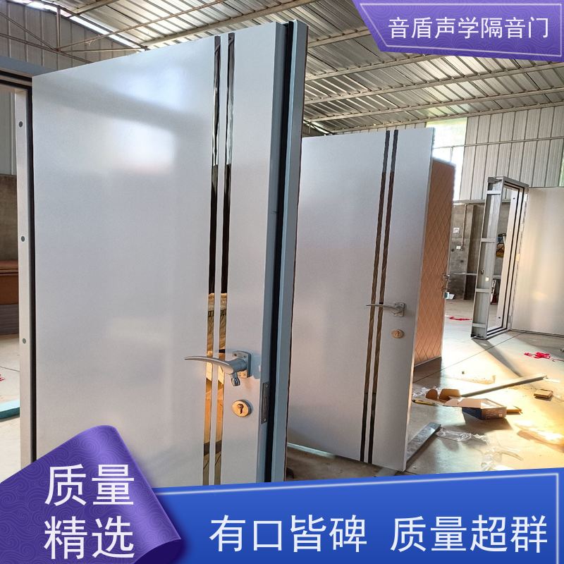 音盾科技 摄影棚 隔声门 品质保证 生产批发厂家