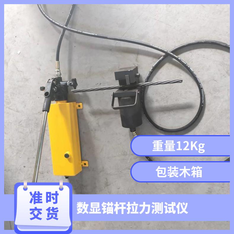 数显指针10~30吨锚杆拉力测试仪 带有手动液压泵