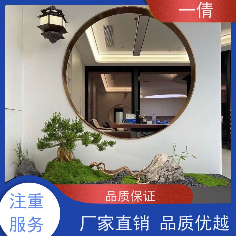 一倩花卉 深圳 福禄桐 绿植租摆 桌面绿植 花木护理