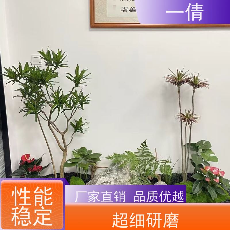 一倩花卉 办公室 鹅掌财 花卉租赁 全城配送 上门养护