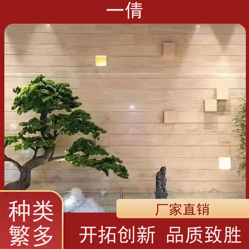 一倩花卉 前台 天堂鸟 绿植出售 全城配送 上门养护
