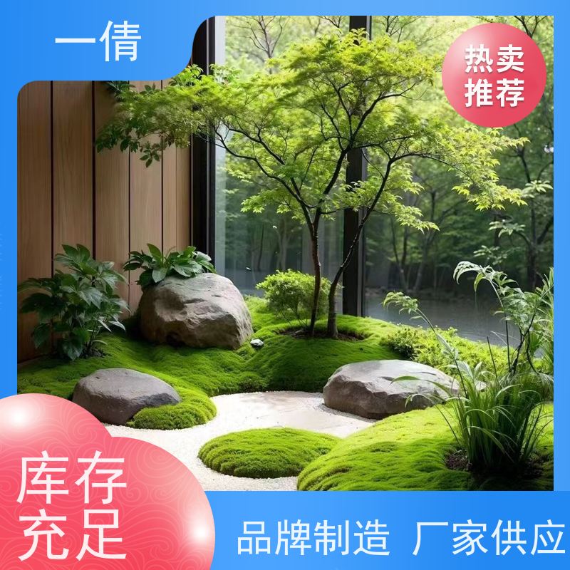 一倩花卉 办公室 红蝴蝶兰 开业花篮租赁 全城配送 上门养护