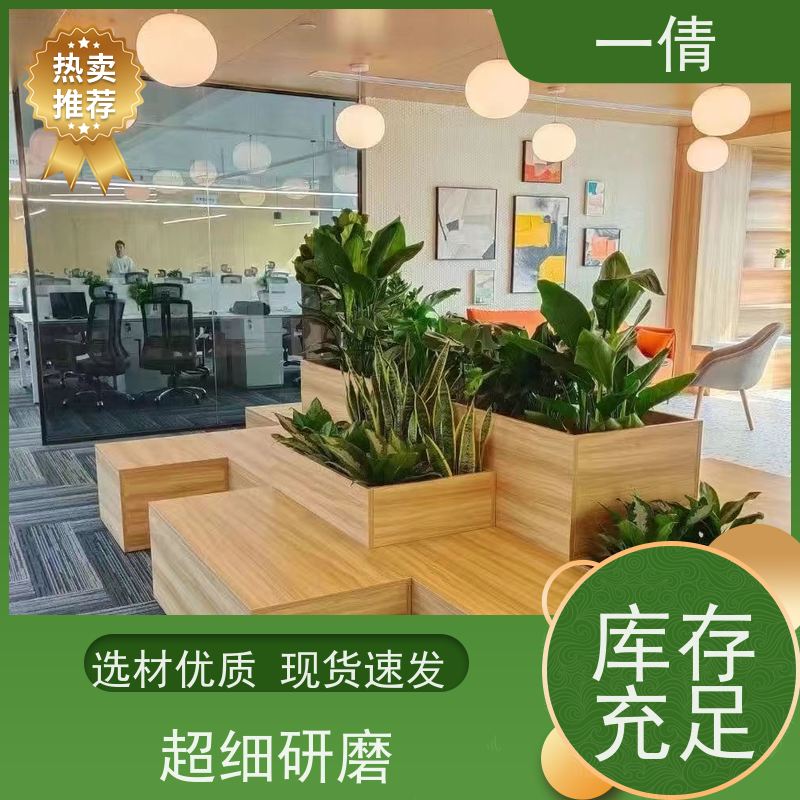 一倩花卉 办公室 紫蝴蝶兰 花卉租赁 种类繁多 规格齐全