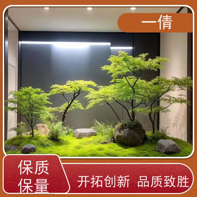 一倩花卉 深圳 橙蝴蝶兰 绿植租摆 全城配送 上门养护