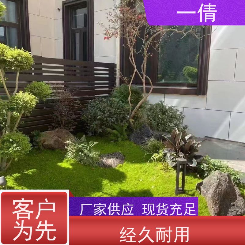 一倩花卉 办公室 吉利红 绿植租赁 全城配送 上门养护