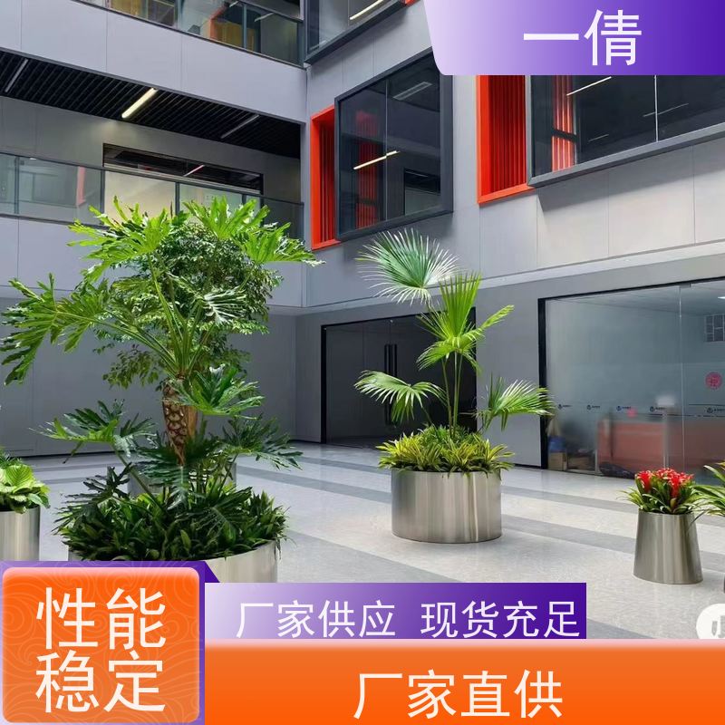 一倩花卉 办公室 60盆四季桔 绿植出售 全城配送 上门养护