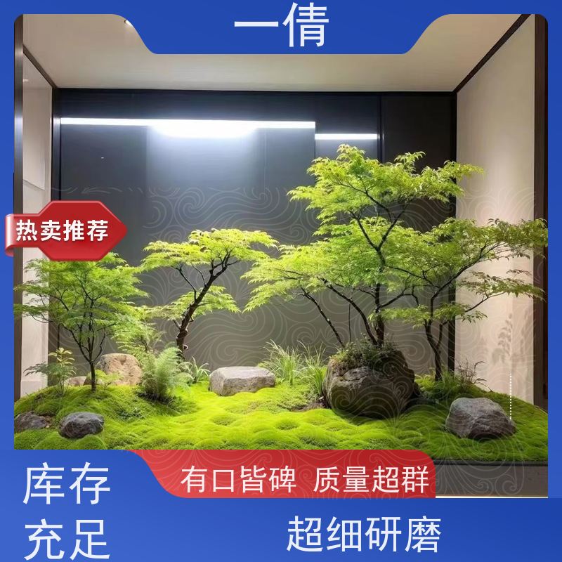 一倩花卉 深圳 年桔盆景 开业花篮租赁 净化空气