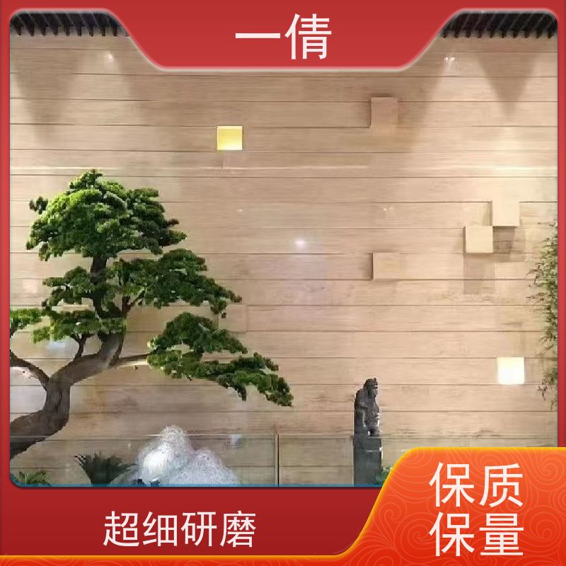 一倩花卉 深圳 棕竹 绿植租赁 全城配送 上门养护