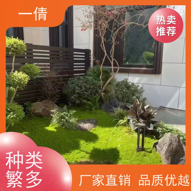 一倩花卉 深圳 杨贵妃 绿植租摆 种类繁多 规格齐全