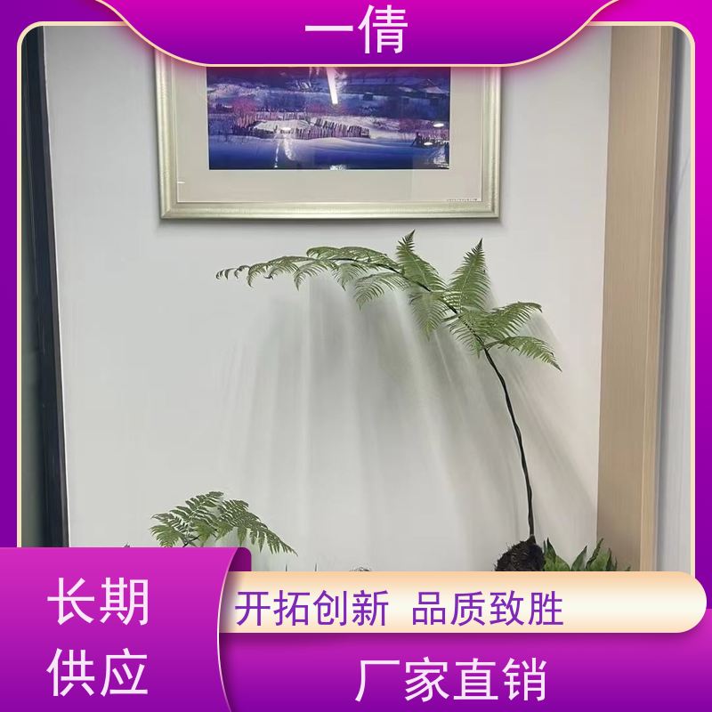 一倩花卉 前台 吉利红 室内植物出租 桌面绿植 花木护理