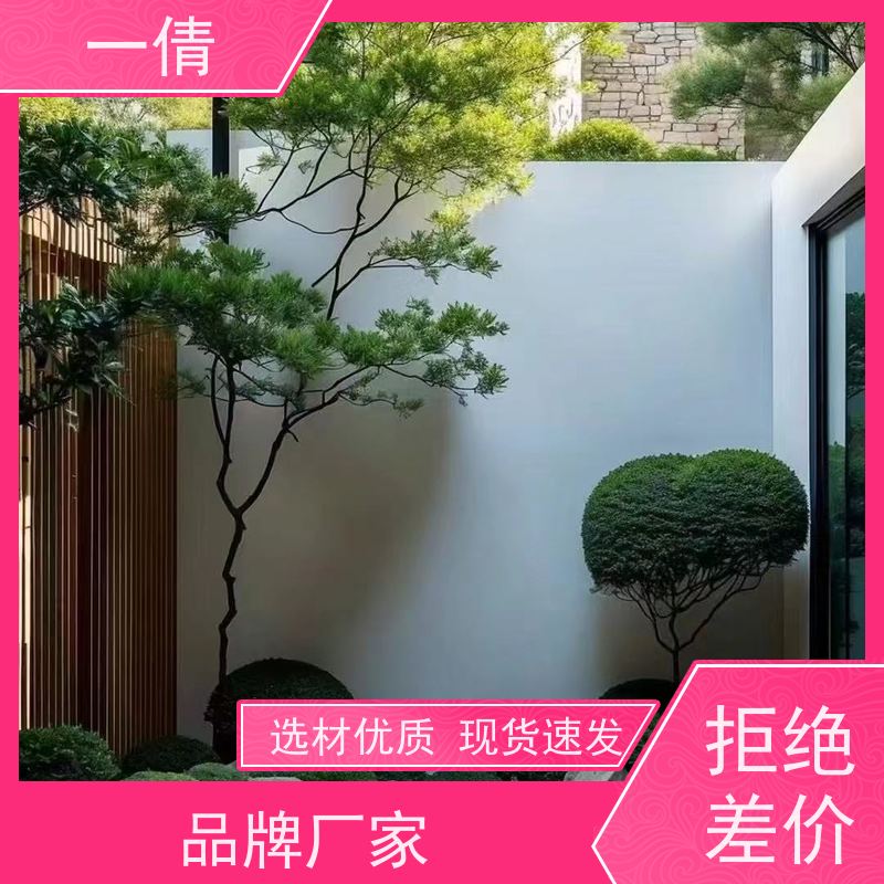 一倩花卉 室内 澳洲杉 开业花篮租赁 全城配送 上门养护