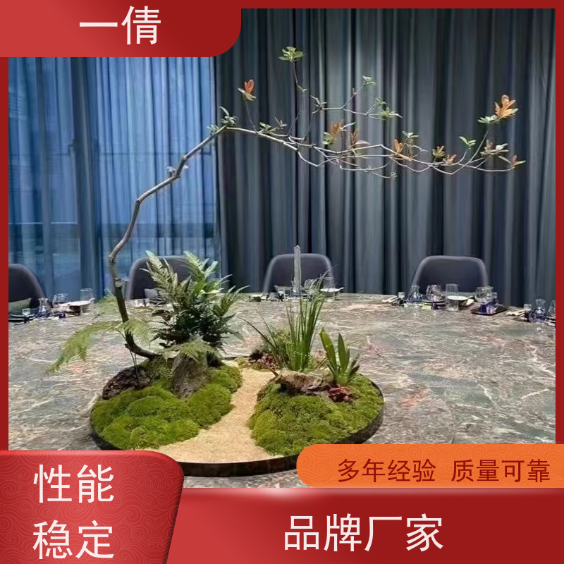 一倩花卉 前台 也门铁 绿植租摆 种类繁多 规格齐全