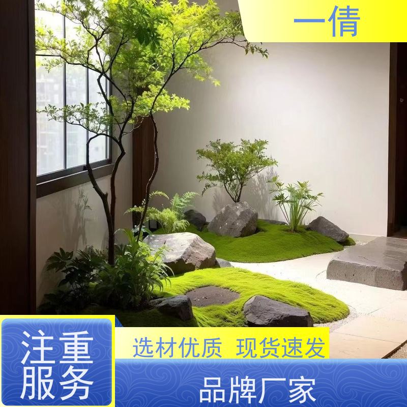 一倩花卉 前台 大杨贵妃 绿植出售 全城配送 上门养护