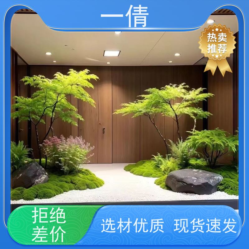 一倩花卉 深圳 君子兰 花卉租赁 种类繁多 规格齐全