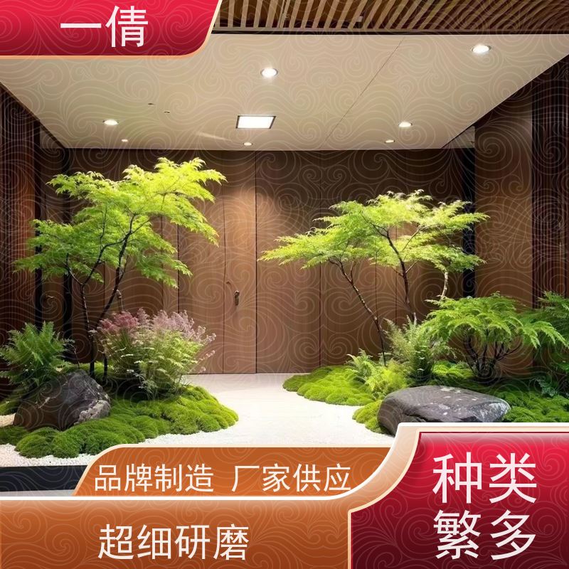 一倩花卉 室内 紫蝴蝶兰 绿植出售 桌面绿植 花木护理