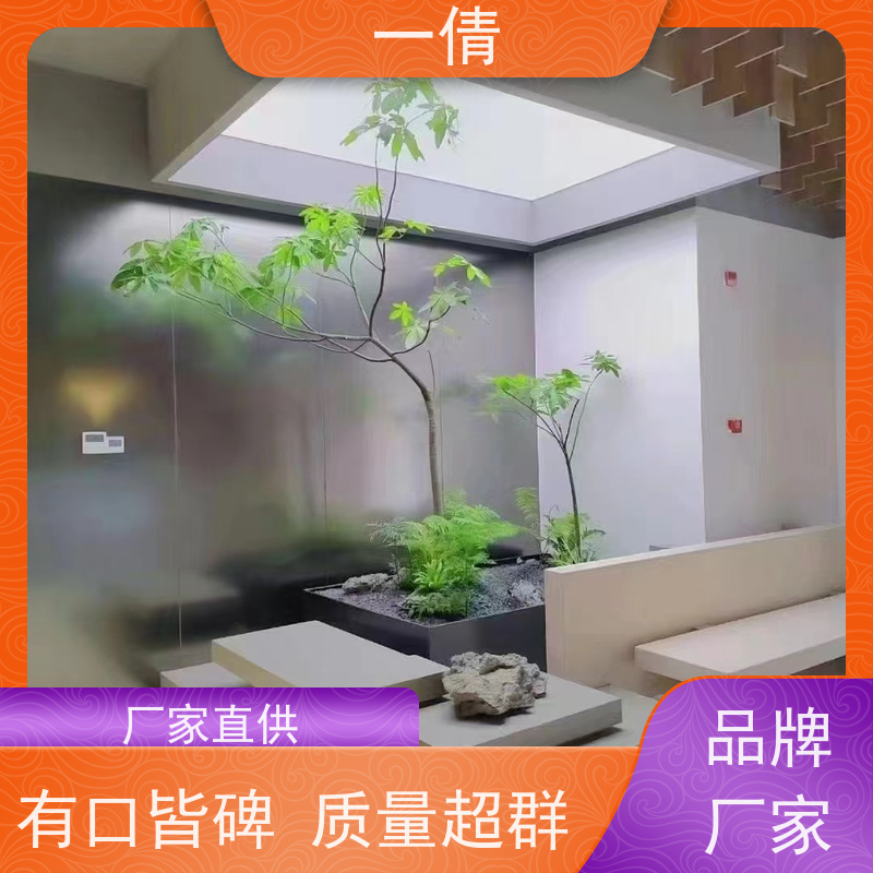 一倩花卉 室内 12寸盆四季桔 绿植出售 种类繁多 规格齐全