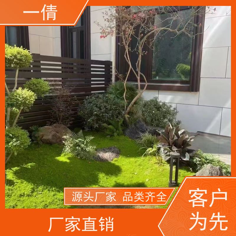 一倩花卉 深圳 红玉珠 绿植租赁 种类繁多 规格齐全