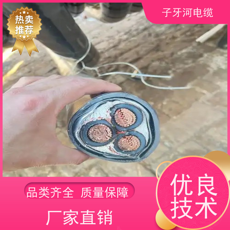 子牙河科技 铜线电缆 多年经验 高价回收报废 可现场结算