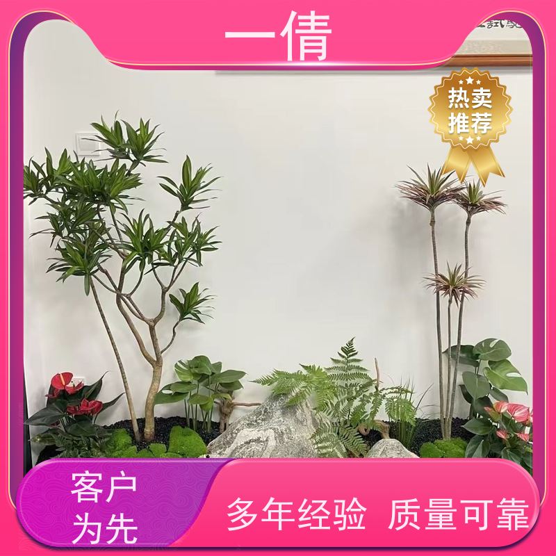 一倩花卉 办公室 翡翠 花卉租赁 桌面绿植 花木护理
