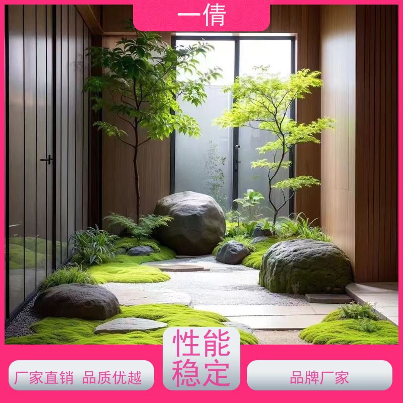一倩花卉 室内 树厥 花卉租赁 全城配送 上门养护