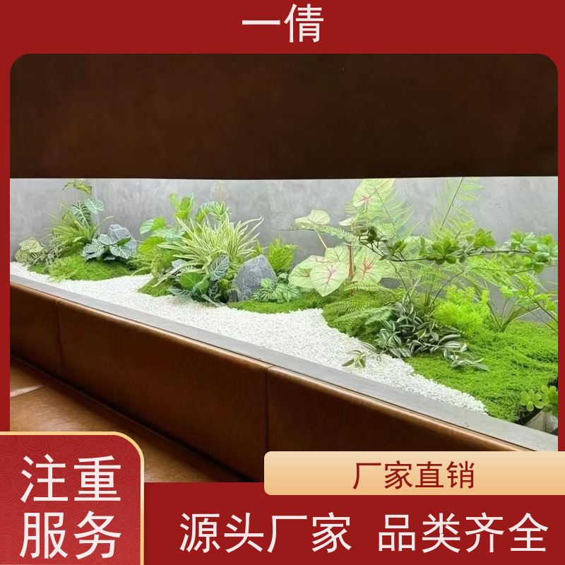 一倩花卉 前台 8层黄金果 花卉租赁 全城配送 上门养护