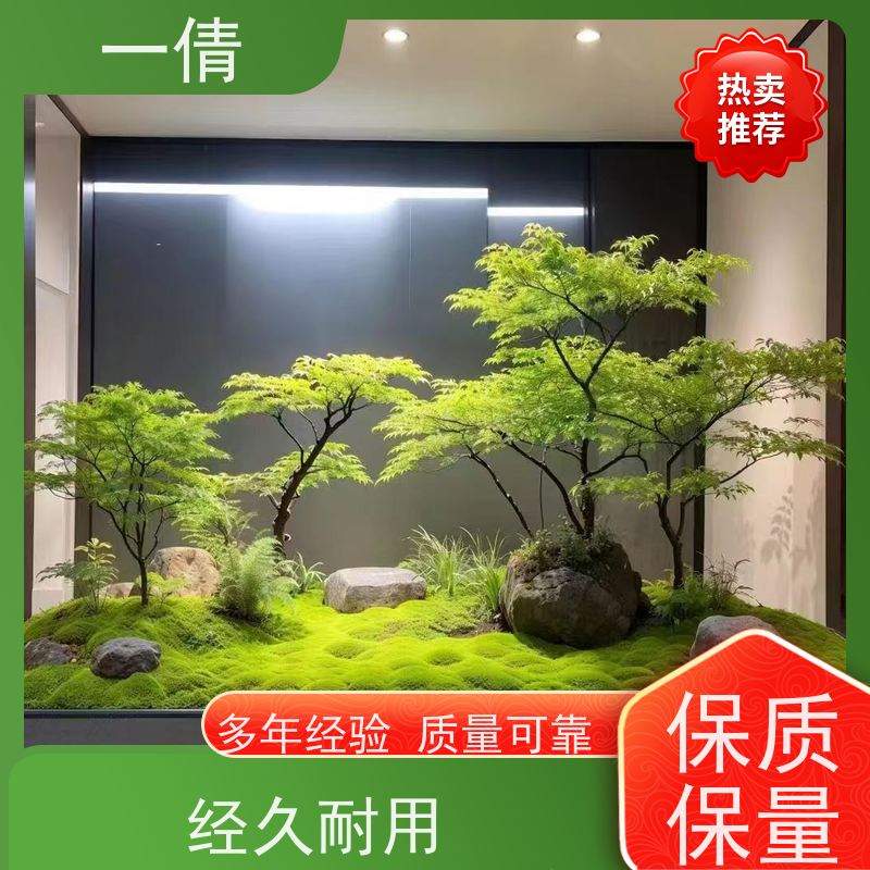 一倩花卉 深圳 富贵树 花卉租赁 种类繁多 规格齐全