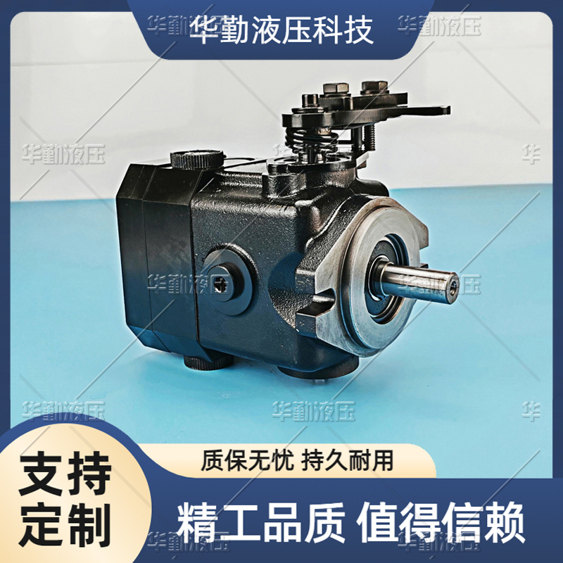 华勤液压 CHD5024TSL扫路机行走泵 规格齐全 实力商家，一站式服务 