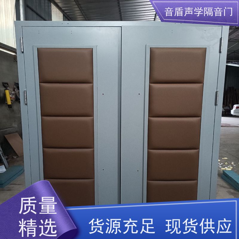 音盾科技 演播室 防火隔音门 品质保证 款式齐全