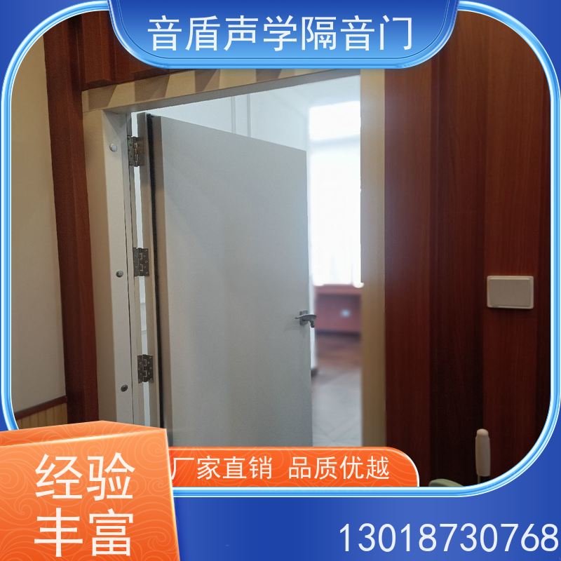 音盾科技 电影院 防火隔声门 值得信赖 厂家批发