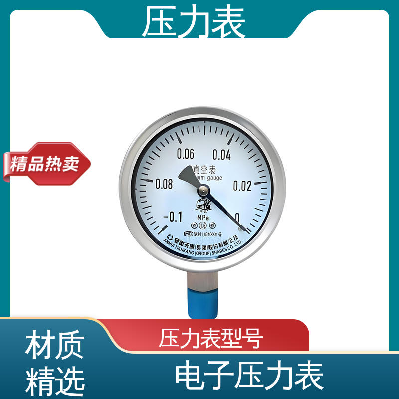 天康 LT系列 压力表型号 功能扩展性 实力厂家 支持定制