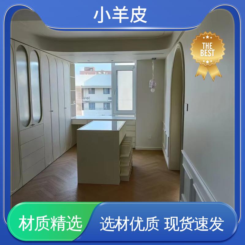 威乐森 蛋壳光 表干时间 60分钟 开拓创新 品质致胜