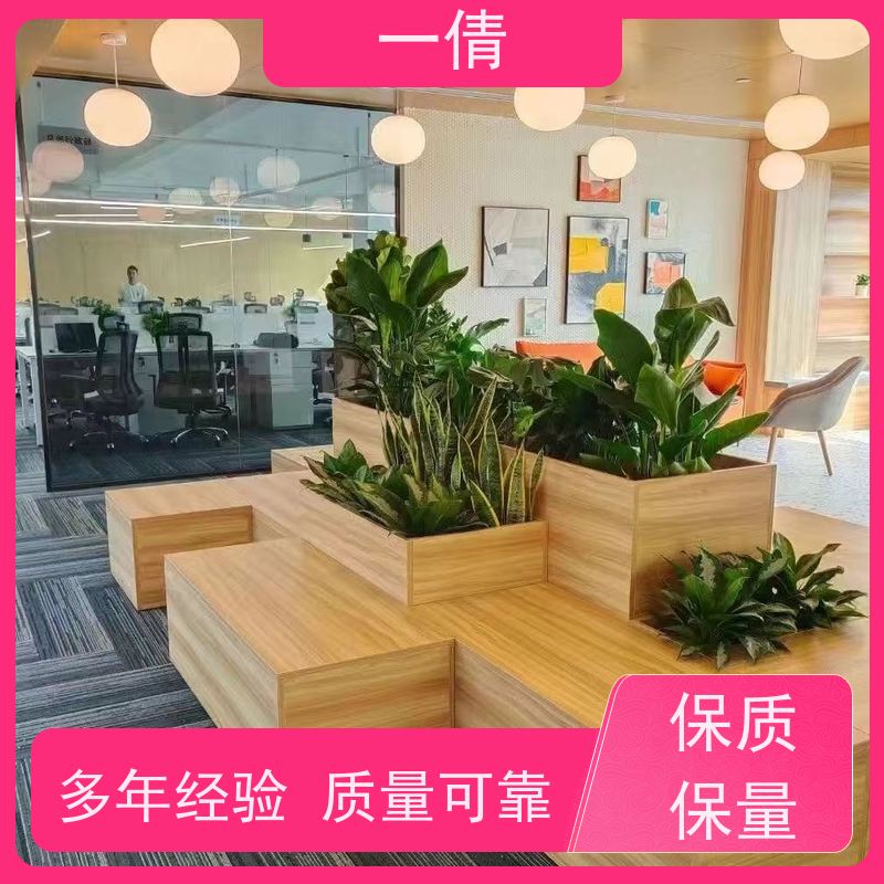 一倩花卉 室内 碧玉 绿植租赁 全城配送 上门养护