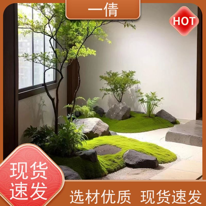 一倩花卉 前台 8层黄金果 室内植物出租 桌面绿植 花木护理