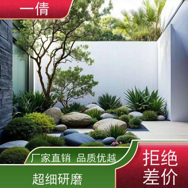 一倩花卉 室内 70盆四季桔 室内植物出租 种类繁多 规格齐全