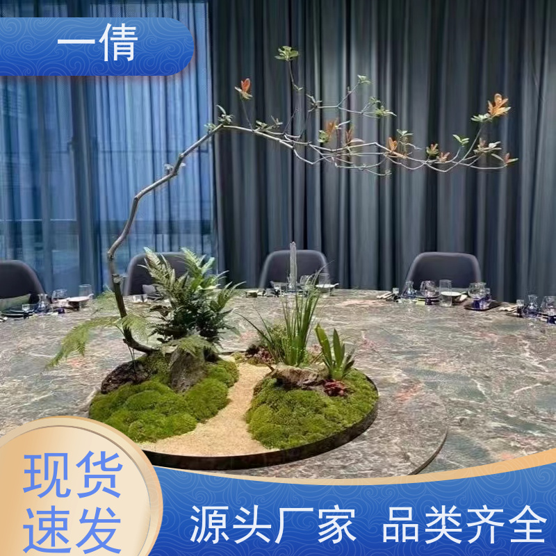 一倩花卉 室内 吉利红 绿植出售 全城配送 上门养护