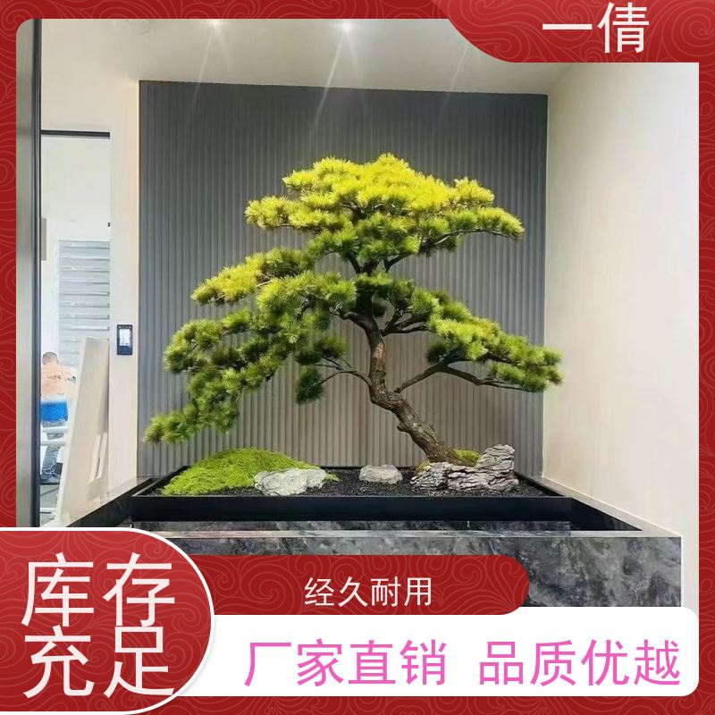 一倩花卉 办公室 天堂鸟 绿植出售 桌面绿植 花木护理