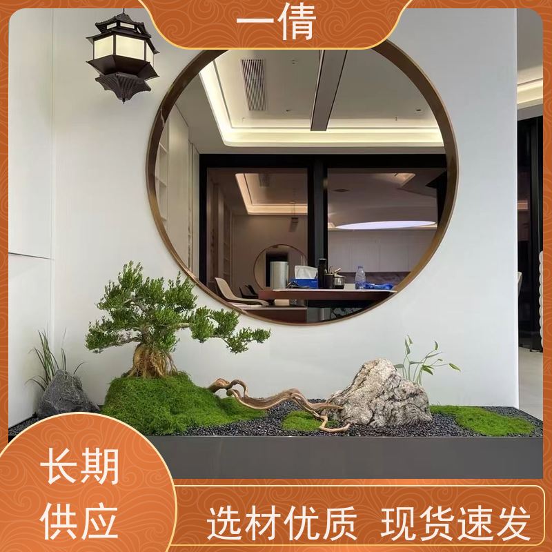 一倩花卉 前台 澳洲杉 绿植租赁 全城配送 上门养护
