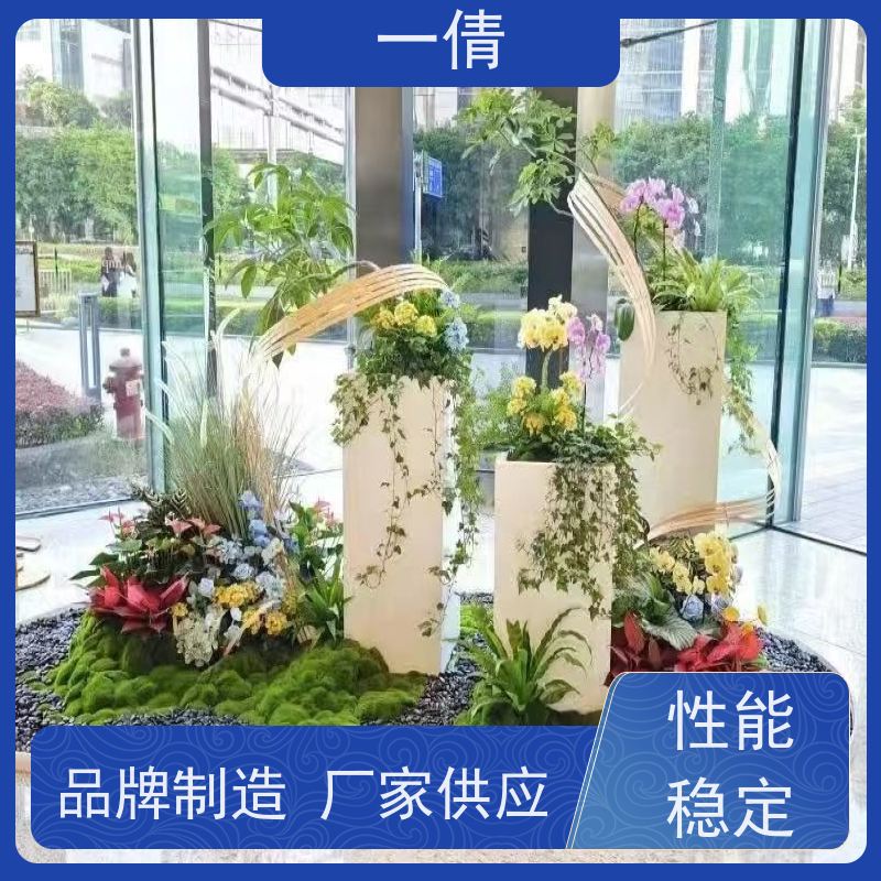 一倩花卉 办公室 石斛 花卉租赁 桌面绿植 花木护理