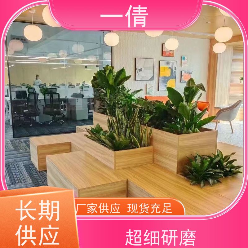 一倩花卉 前台 7寸盆四季桔 绿植出售 桌面绿植 花木护理