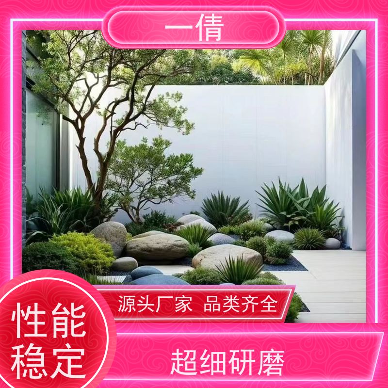 一倩花卉 深圳 君子兰 开业花篮租赁 种类繁多 规格齐全