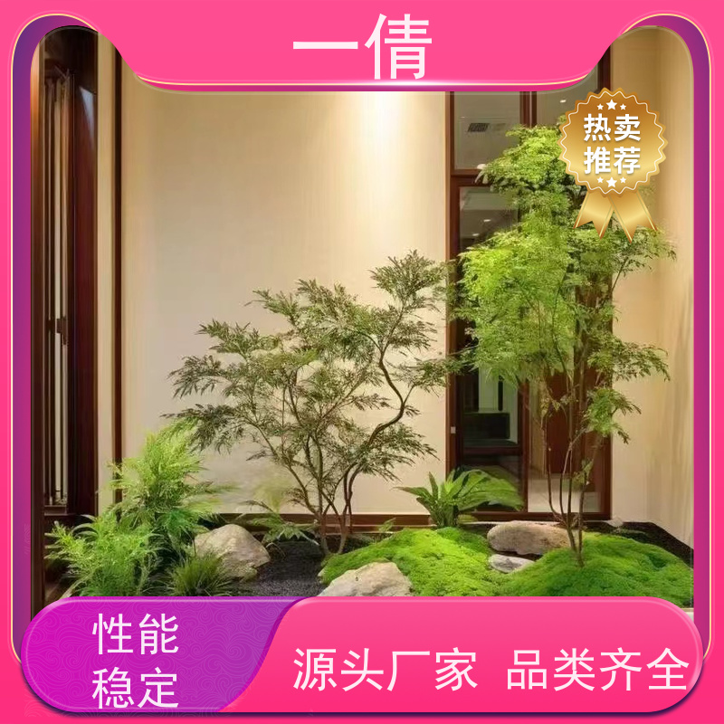 一倩花卉 室内 树厥 绿植出售 全城配送 上门养护