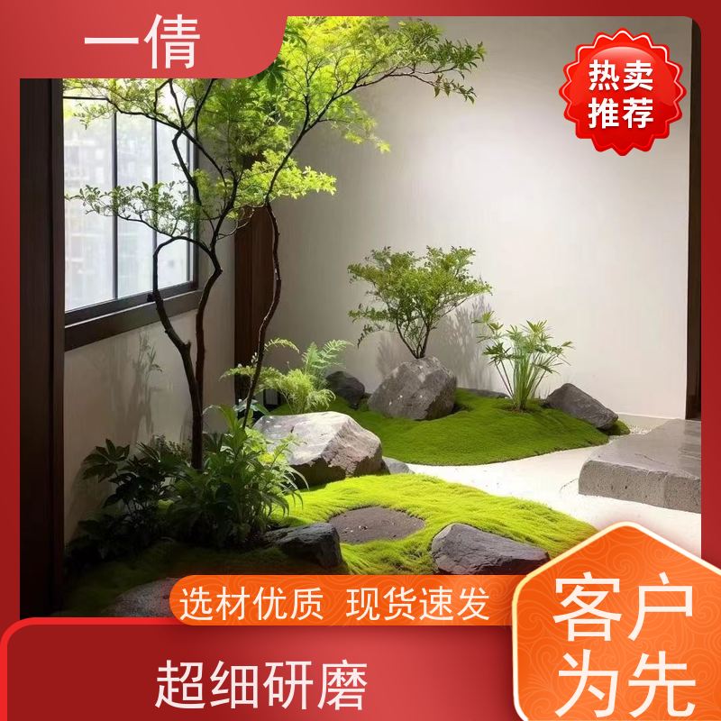 一倩花卉 室内 蝴蝶兰 绿植租赁 全城配送 上门养护