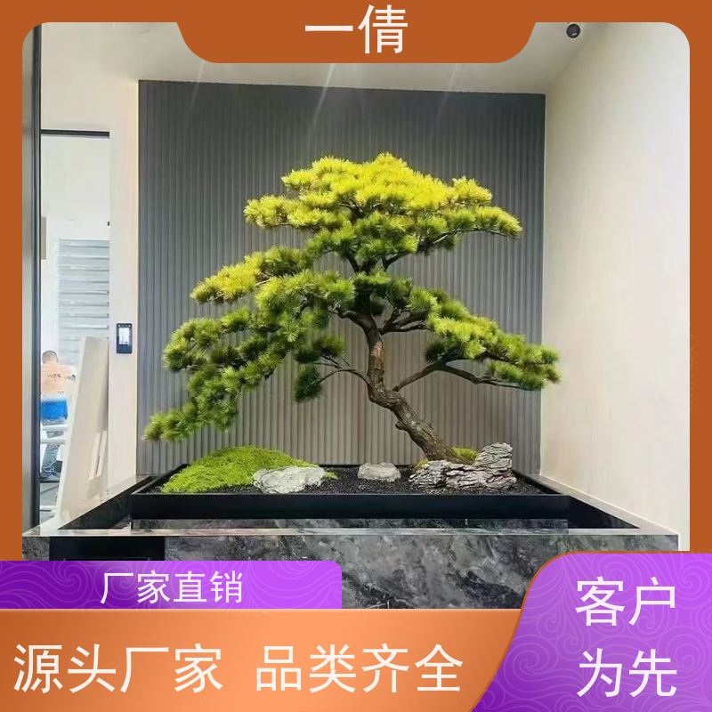 一倩花卉 办公室 白掌 绿植出售 全城配送 上门养护
