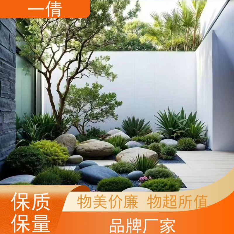 一倩花卉 深圳 砖石翡翠 室内植物出租 种类繁多 规格齐全